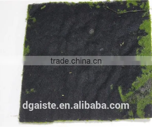 Man Made Thick Moss Carpet Moss Foam Products Flocking Wall photo-5