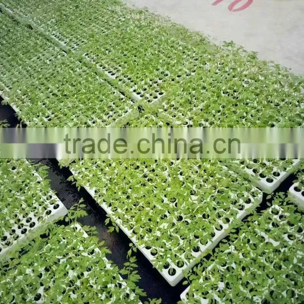 Hydroponic Seeding Growing Sponge for Vegetables photo-3
