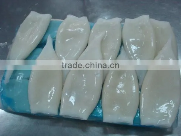 2016 Best Quality New Arrival Squid Tubes for Sale photo-3