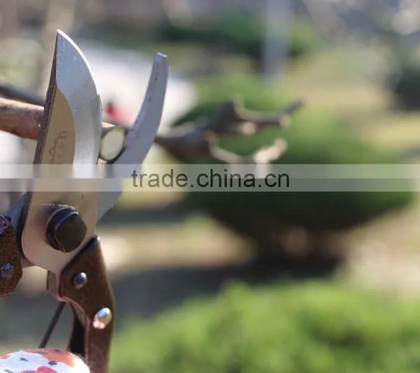 Round Blade Razor Sharp Garden Clippers, Tree Trimmers, Secateurs and Steel Bypass Pruner photo-5