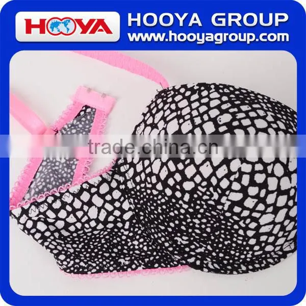 2016 Latest Sexy Design Net Bra Ladies Bra And Panties photo-5