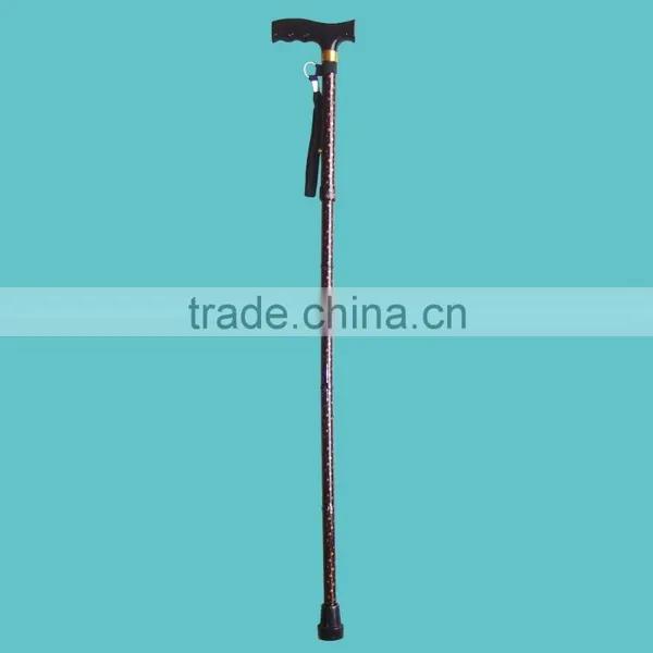 Floral Walking Stick photo-2