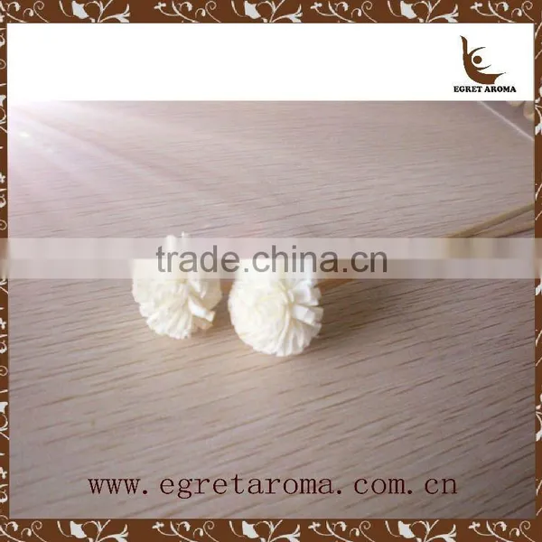Nice Design Rattan Sticks and Sola Flower photo-6