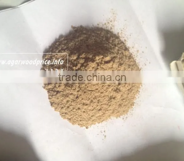 Agarwood Powder/ Oud Powder - The Best Quality and Reasonable Price to Make Oud Incense photo-2