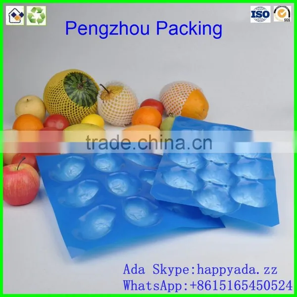 Colorful Fruit Foam Net/fruit Protection Net /Free Design Hot Sale Fruit Net photo-4