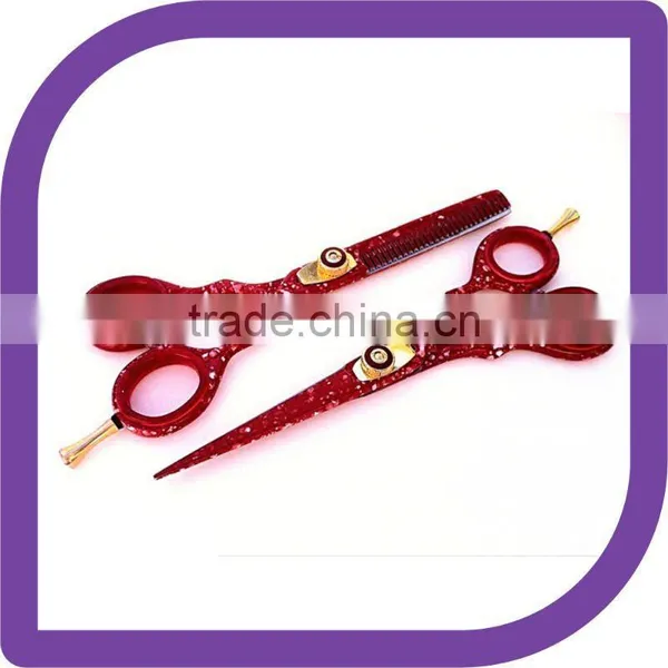 Professional Hairdressing Hair Scissors Shears