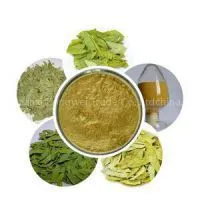 Sennosides A & B Plant Extract Factory