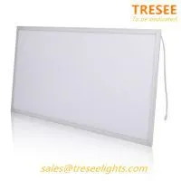 24W Edgelit 300x600 LED Flat Panel Light Fixture 80lm/W CE RoHS