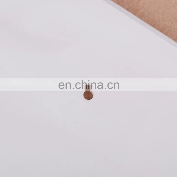 Preofessional China Manufacture Self-adhesive Transparent Packing Opp Plastic Bag With Hole photo-3