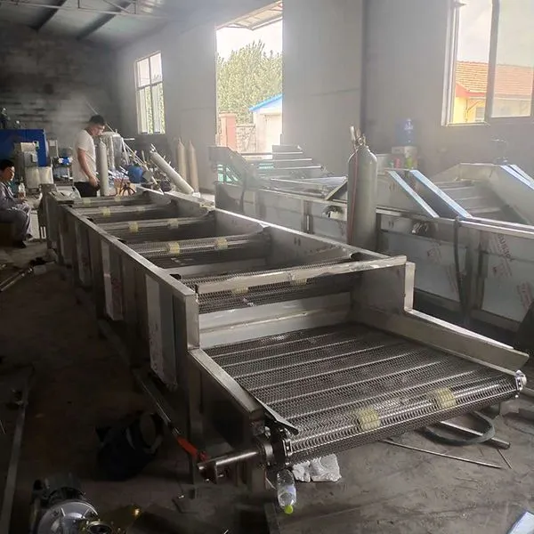 Strawberry Washing Machine Vegetable Washing Machine Manufacturers For Sale photo-2