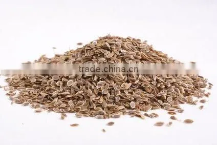 DILL SEED