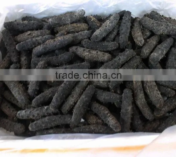 Wholesale Price of Dried Sea Cucumber ,Best Quality of Dried Sea Cucumber
