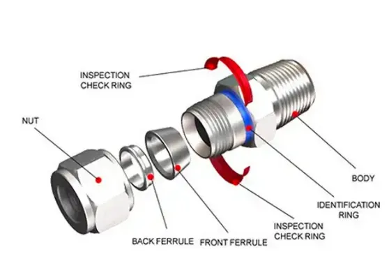 Top Sale Npt Bspp Bspt Stainless Steel Compression Fittings and Double Ferrule Tee Fittings 1/8in to 1in and 2mm to 25mm OEM&ODM photo-5
