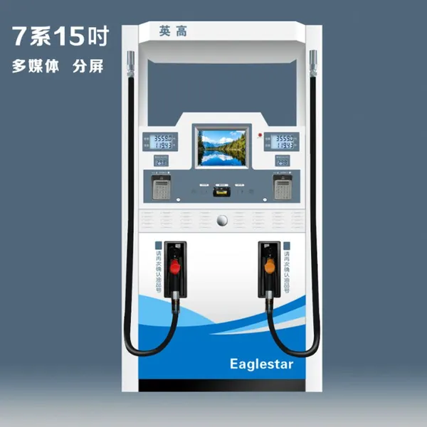 Customized Equipment Sanjin Double Oil Product Gear Pump, Submersible Oil Pump Gasoline, Diesel Refueling Machine photo-5