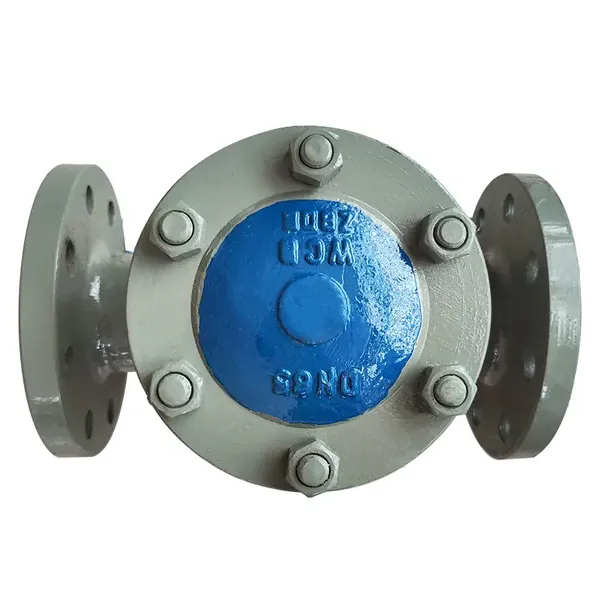 Manufacturer Direct Sales Cast Steel Check Valve Flange Check Valve photo-4