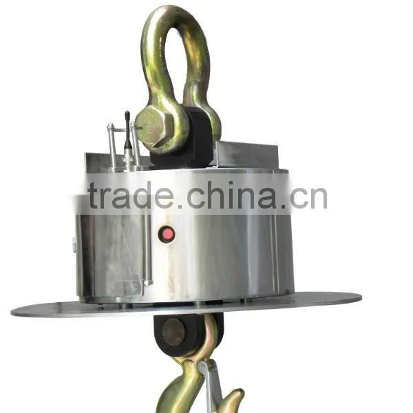Crane Scales
