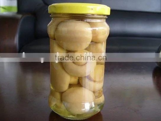 Mushroom in Glass Jar photo-5