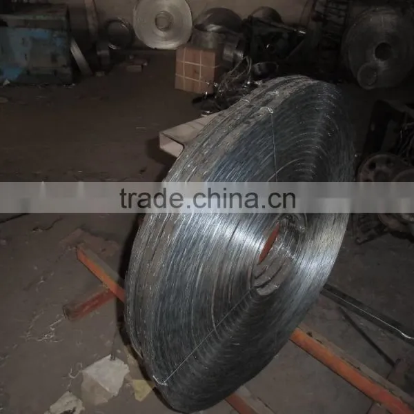 High Quality Security Single CBT-65 Iron Razor Barb Wire for Sale photo-4