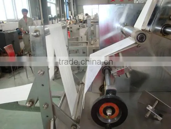 SJB Series Custom Auto Horizontal Flour Packing Machine Price Manufacturers for Sale photo-3