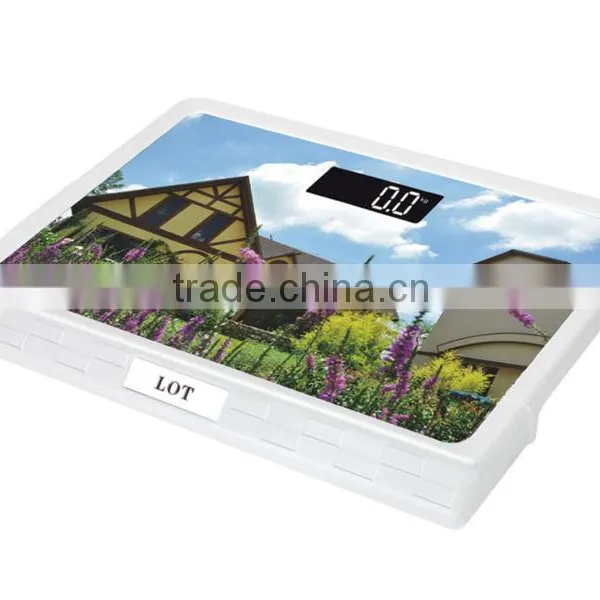 Electronic Weighing Scale photo-6
