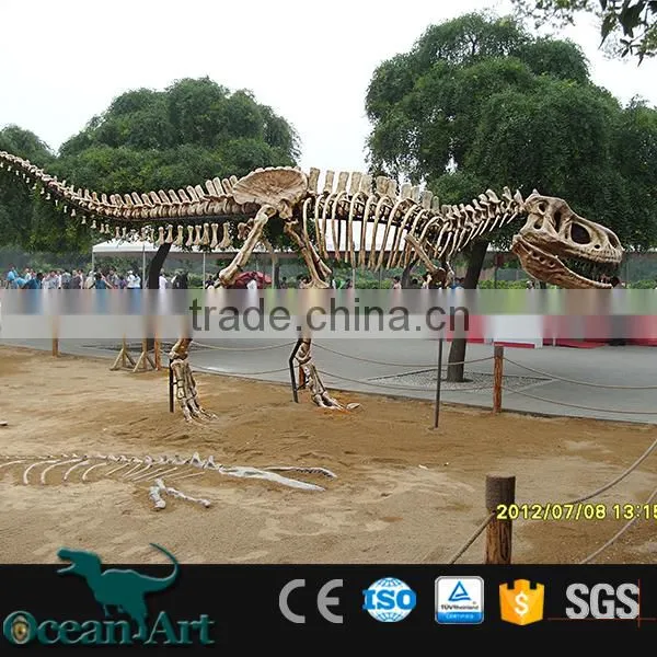 OAV2432 Dig Dinosaur Fossil Replica Real Dinosaur Fossils photo-3