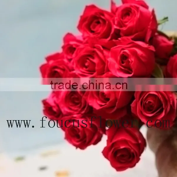 Flower Bouquets Flower Pots Flower Vase From Yunnan, China photo-6