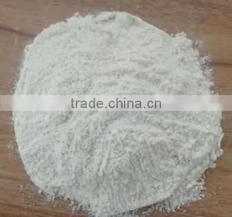 Garlic Powder