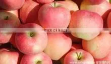 High Quality Red Fuji Apple photo-2