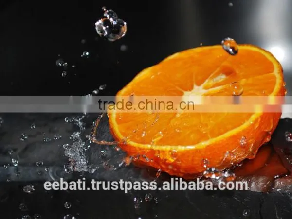 Liquid Soap 500 ml photo-2