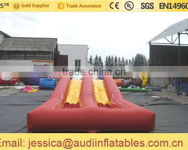 Inflatable Twin Lane Water Slide on Land for Sale photo-3