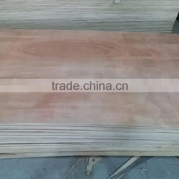 Commercial Plywood Manufacturer/MLH Eucalyptus Acacia Bingtangor Plywood photo-2