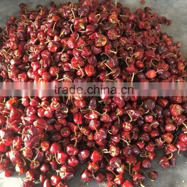 Round Red Chilles From Tamilnadu