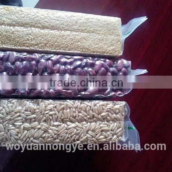 Oats photo-2