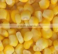 Canned Sweet Corn