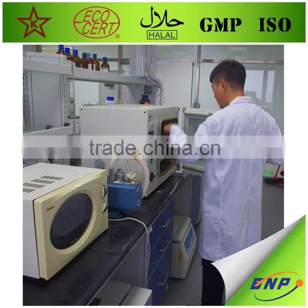 BNP Natural TOP Quality Reishi Spore Powder photo-5