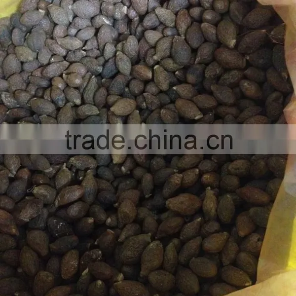 Dried Malva Nut photo-4