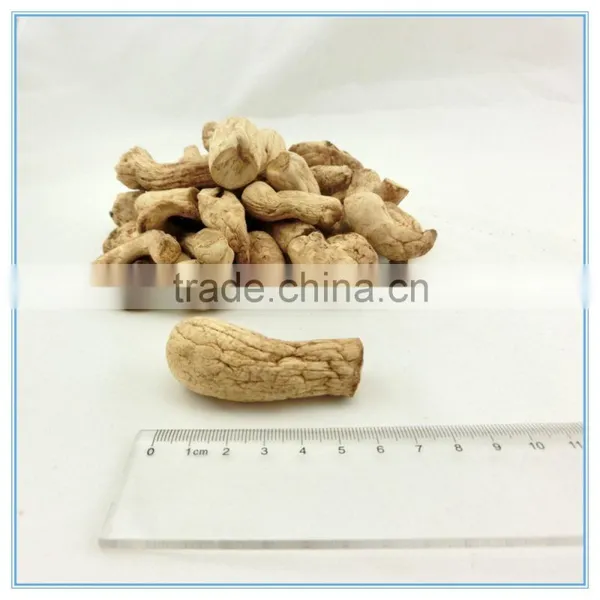 Bulk Dehydrated Shiitake Mushroom Root for Canned Mushroom photo-2