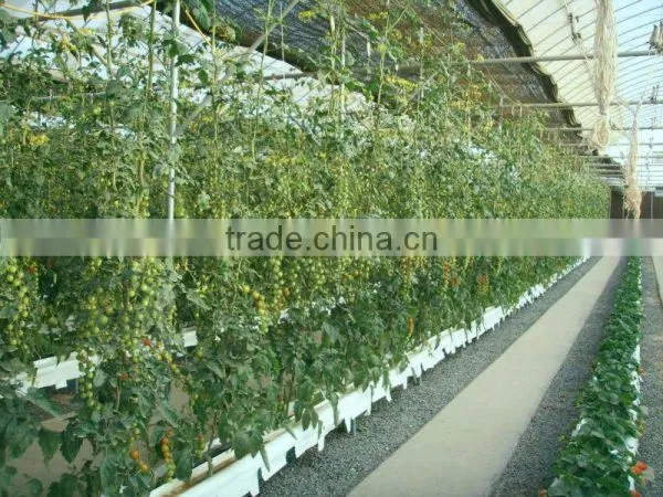Hydroponic Systems for Greenhouses photo-5