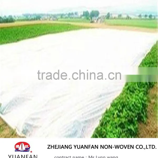 Non-woven Fabric photo-6