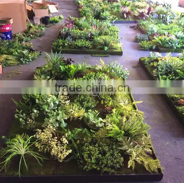 Home Garden Wedding Decoration 200cm*100cm Green Original Succulent With Moss Carpet Grass Wall E03 0506 photo-4