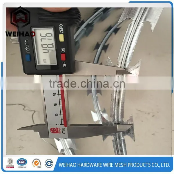 Online Shopping !! Reinforce and Stainless Razor Barbed Wire Used in Farm photo-4
