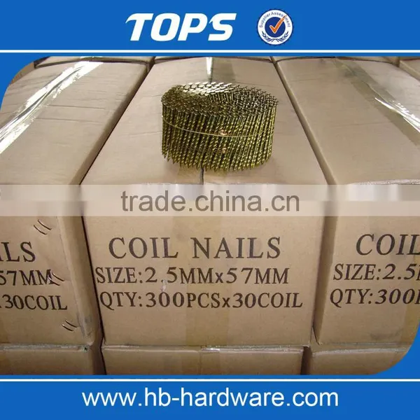 Plastic Collated/electro Galvanized Coil Nails photo-6