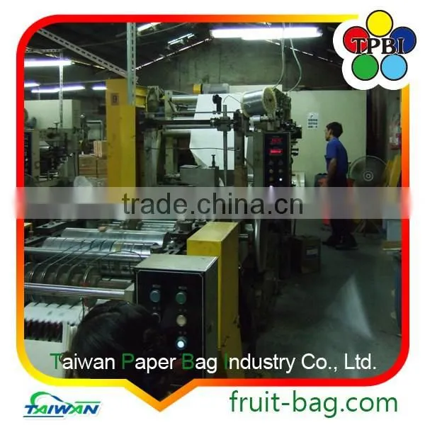 Mango Fruit Grow Bag Mango Fruit Grape Covering Paper Bag photo-5