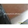 Packing Plywood (good Quality and Best Price) photo-2