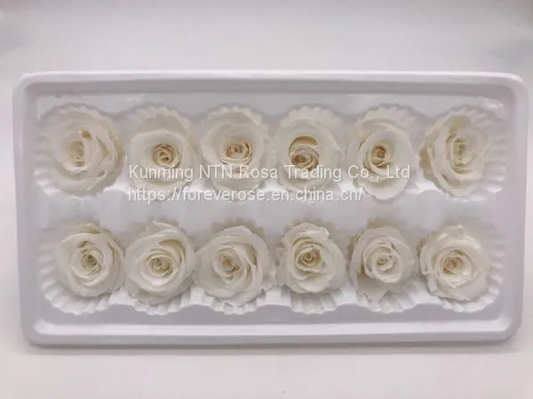 Wholesale3-4cm Elegant Real Touch Preserved Rose Flower photo-5