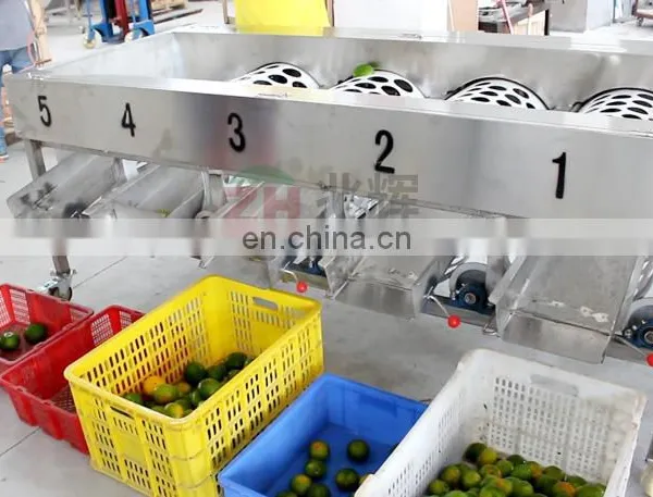 High Effective Blueberry Fruit Selecting Machine Blueberry Fruit Grading Machine photo-7
