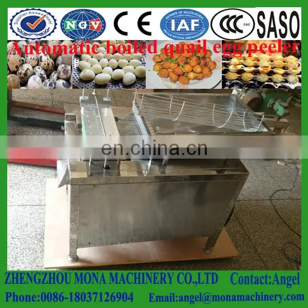 Quail Egg Process Line, Quail Egg Production Machines, Plant of Large Capacity Quail Egg Peeling Machine photo-5