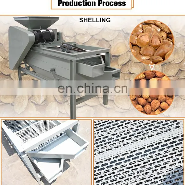 Automatic Nut Crushing Machine Hazelnut Breaking Almond Cracker Machine photo-3