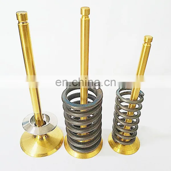 New Engine Parts Intake Exhaust Performance Engine Valve For BMW E46 E39 E53 M54 X5 525 325 528 323 Z3 E60 520i 525i 530 535i photo-5