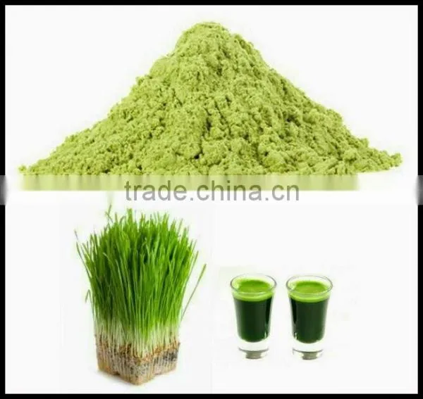 Wheat Grass Powder For Sales photo-3
